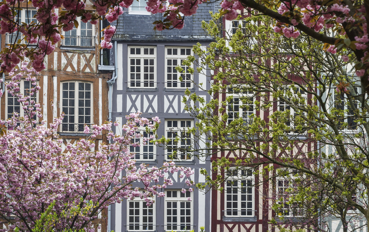 Fachwerkhaeuser in Rouen, Frankreich