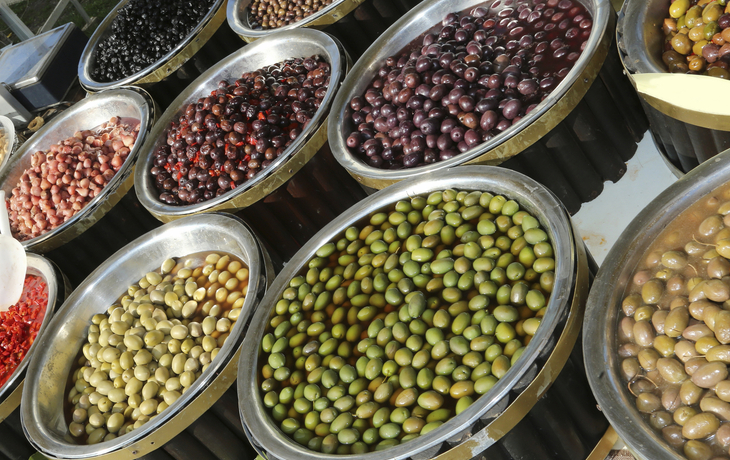 Trapani, Olivenplantage