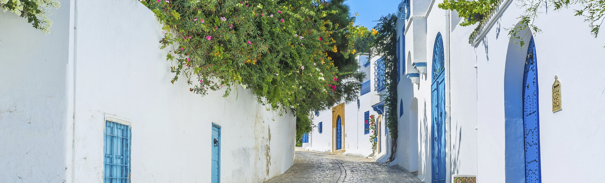 Künstlerdorf Sidi Bou Saïd in La Goulette, Tunesien