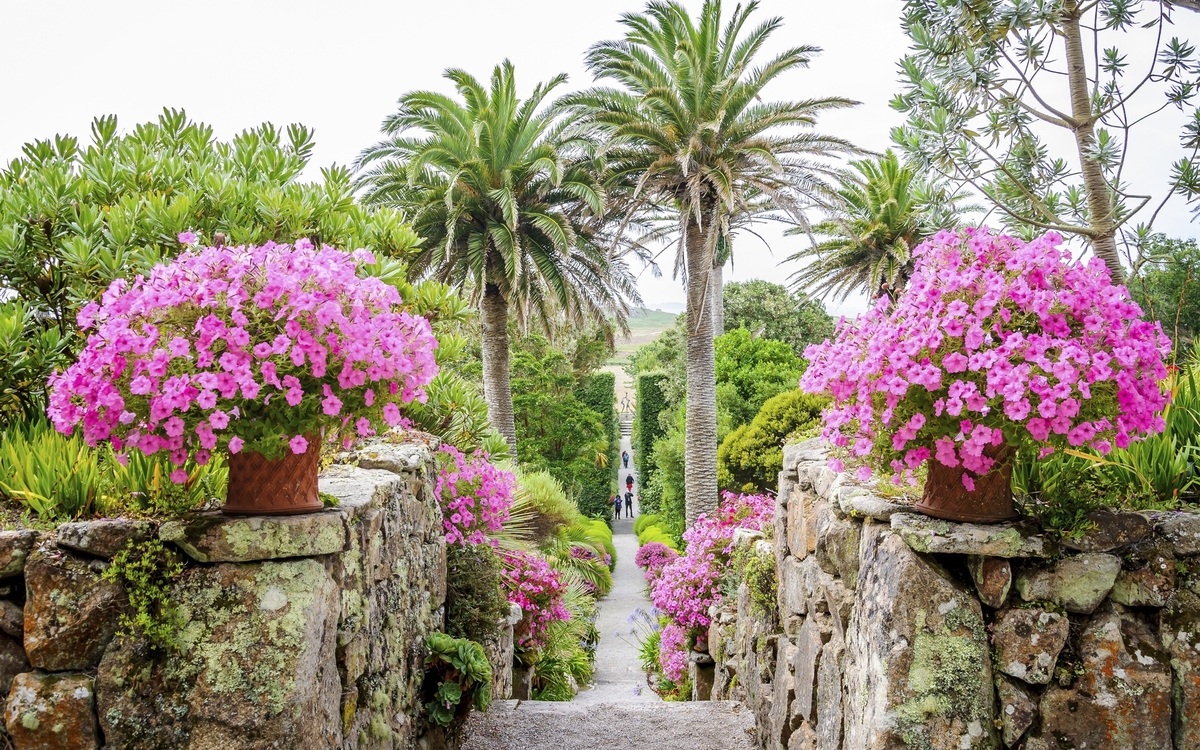 Scilly Inseln, Tresco