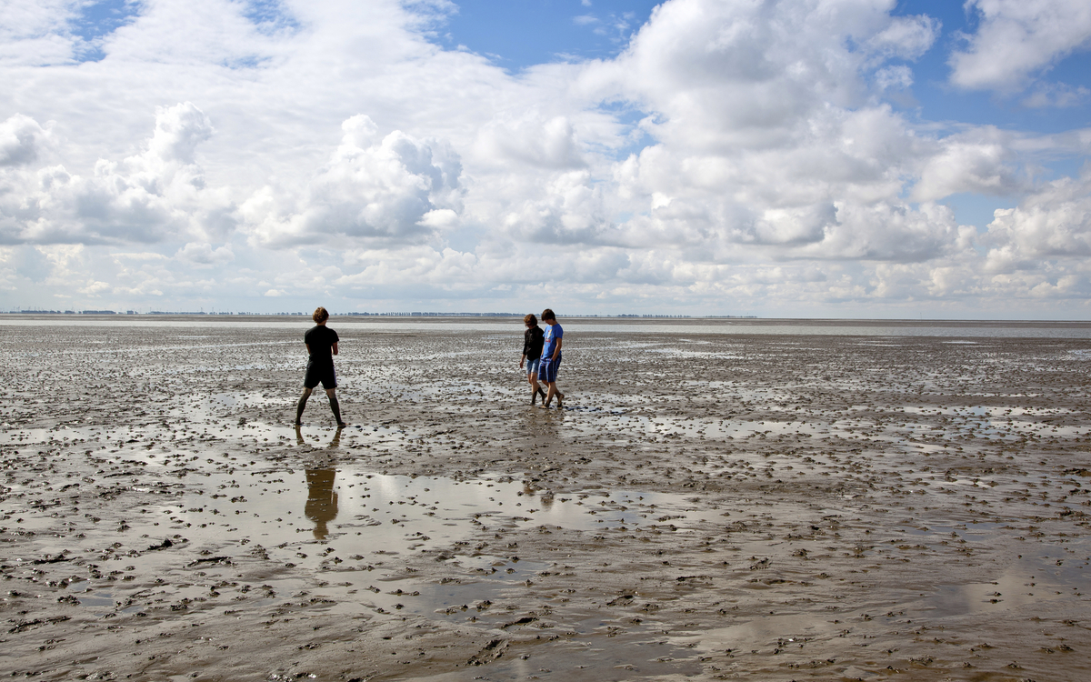 Spaziergang im Wattenmeer