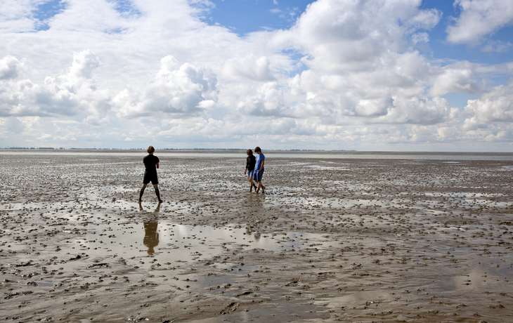 Spaziergang im Wattenmeer