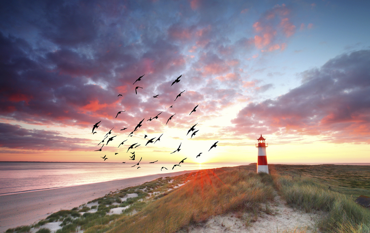 Sonnenuntergang über dem Leuchtturm in List, Sylt
