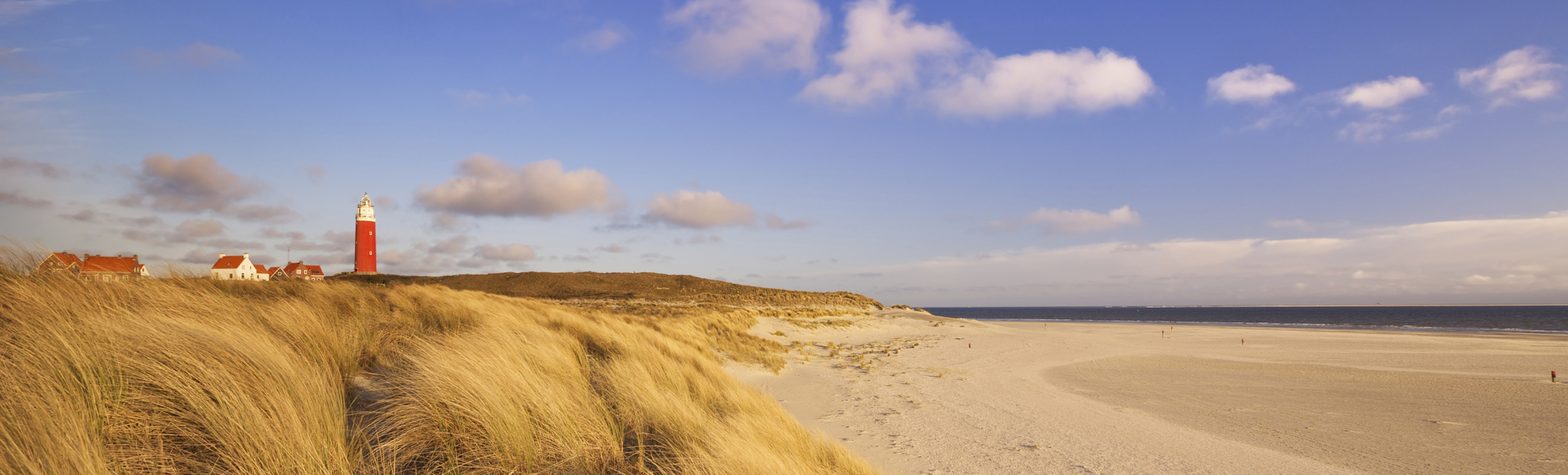 Dünenlandschaft auf Texel