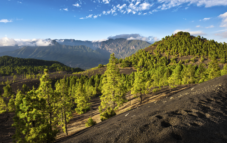 Nadelwald und Bergland von La Palma, Kanarische Inseln