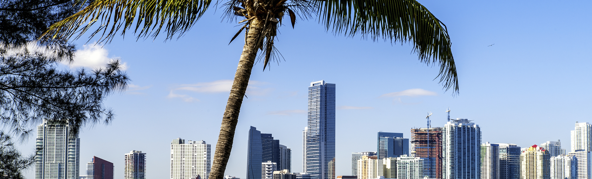 Blick auf die Küste von Miami in Florida, USA
