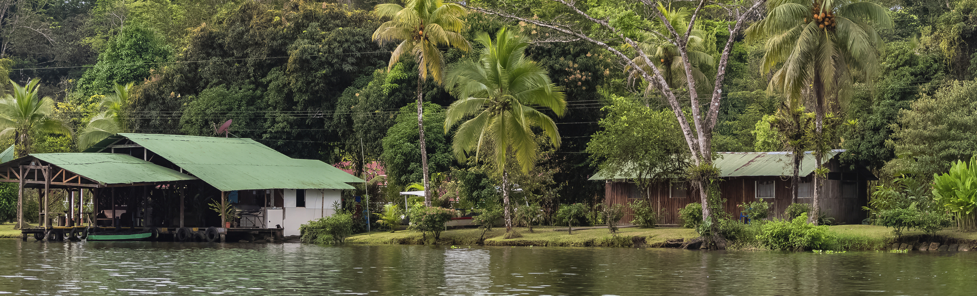 Mangroven-Ausflug mit dem Boot