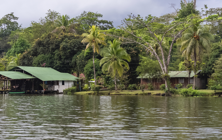Mangroven-Ausflug mit dem Boot