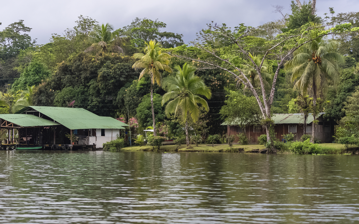 Mangroven-Ausflug mit dem Boot
