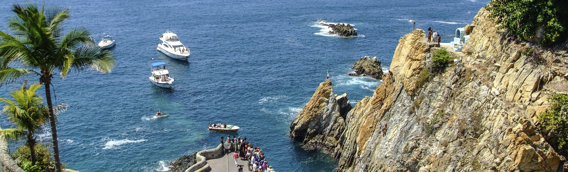 Felsenspringer in Acapulco