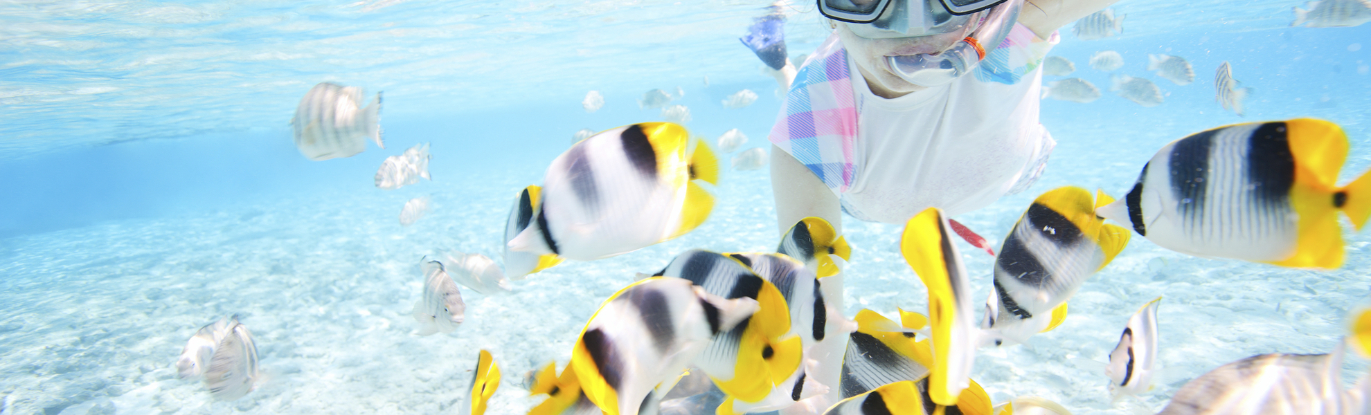 Rochenbeobachtung & Schnorcheln auf Bora Bora