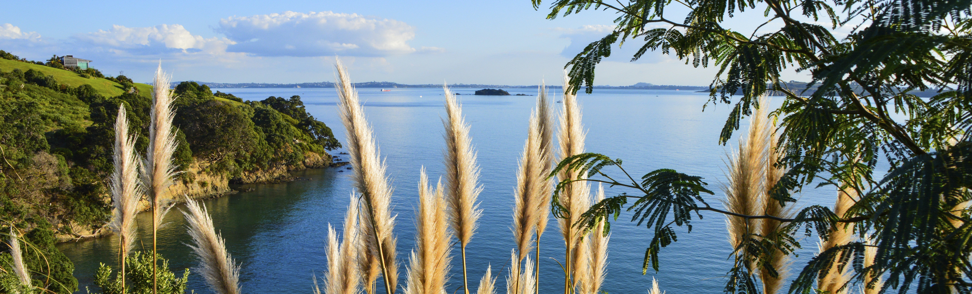 Küste der Insel Waiheke bei Neuseeland