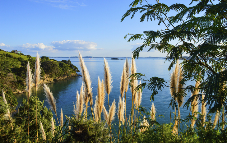 Küste der Insel Waiheke bei Neuseeland