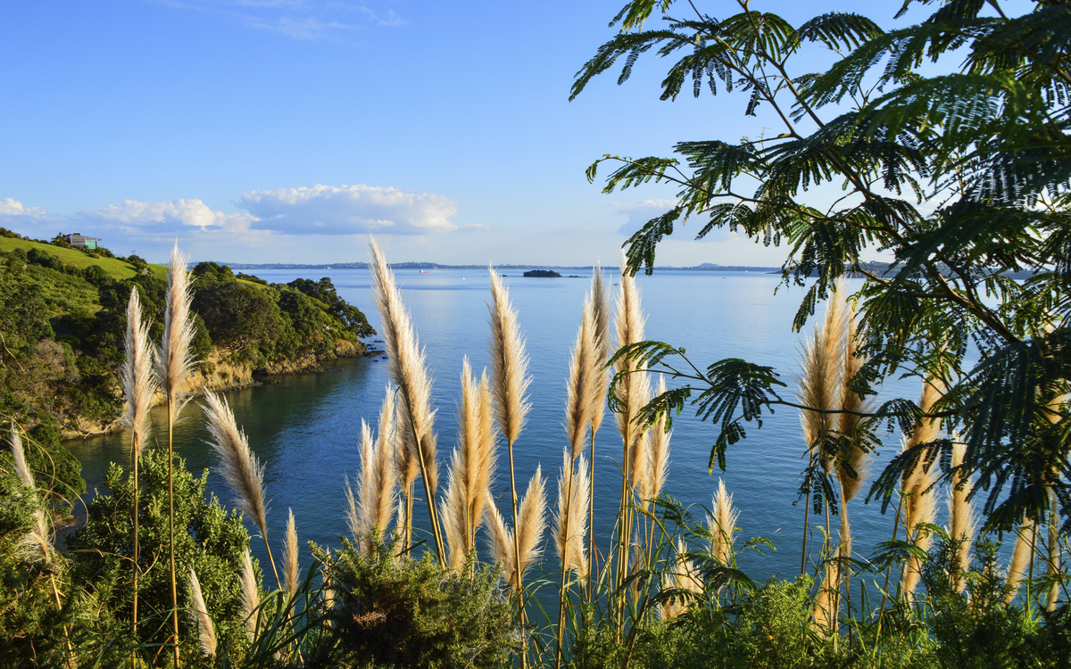 Küste der Insel Waiheke bei Neuseeland