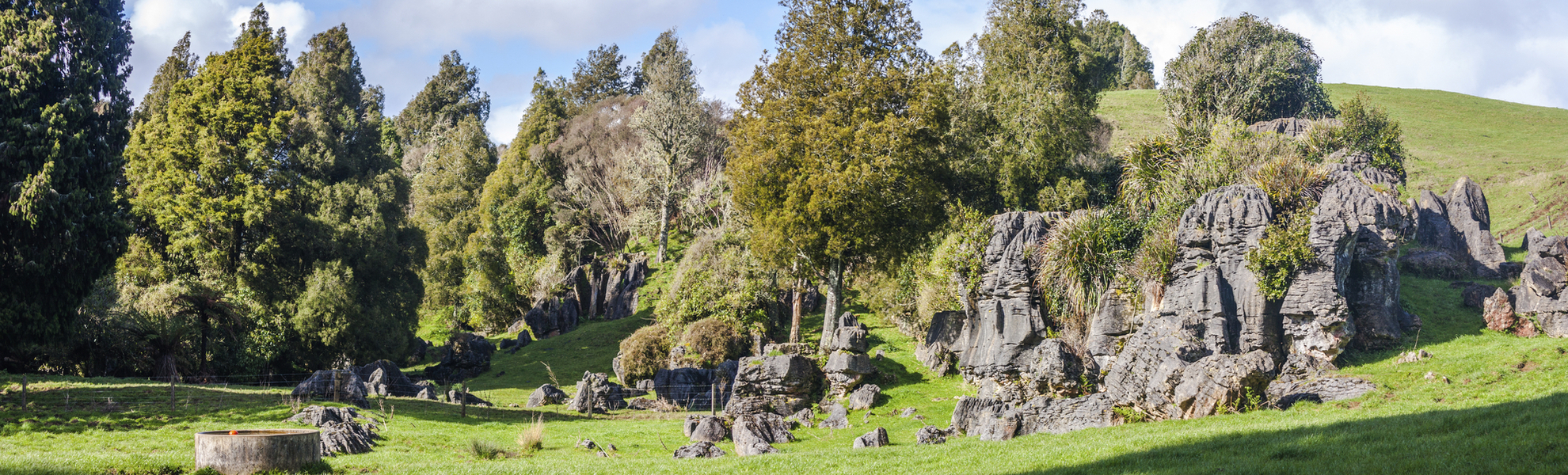 Landschaft von Waitomo, Neuseeland