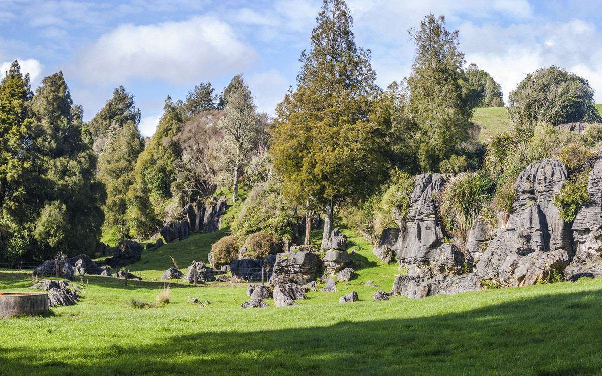Landschaft von Waitomo, Neuseeland