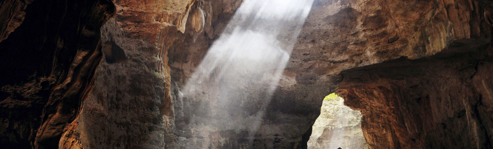 Waitomo, Glühwürmchen Grotte