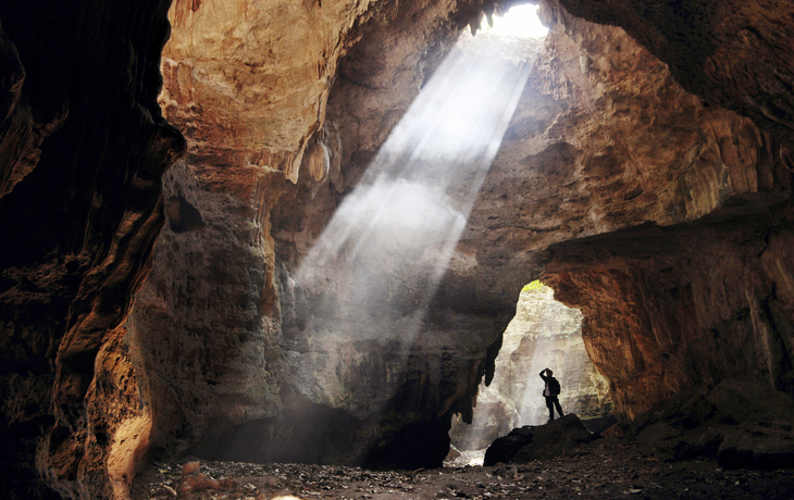 Waitomo, Glühwürmchen Grotte