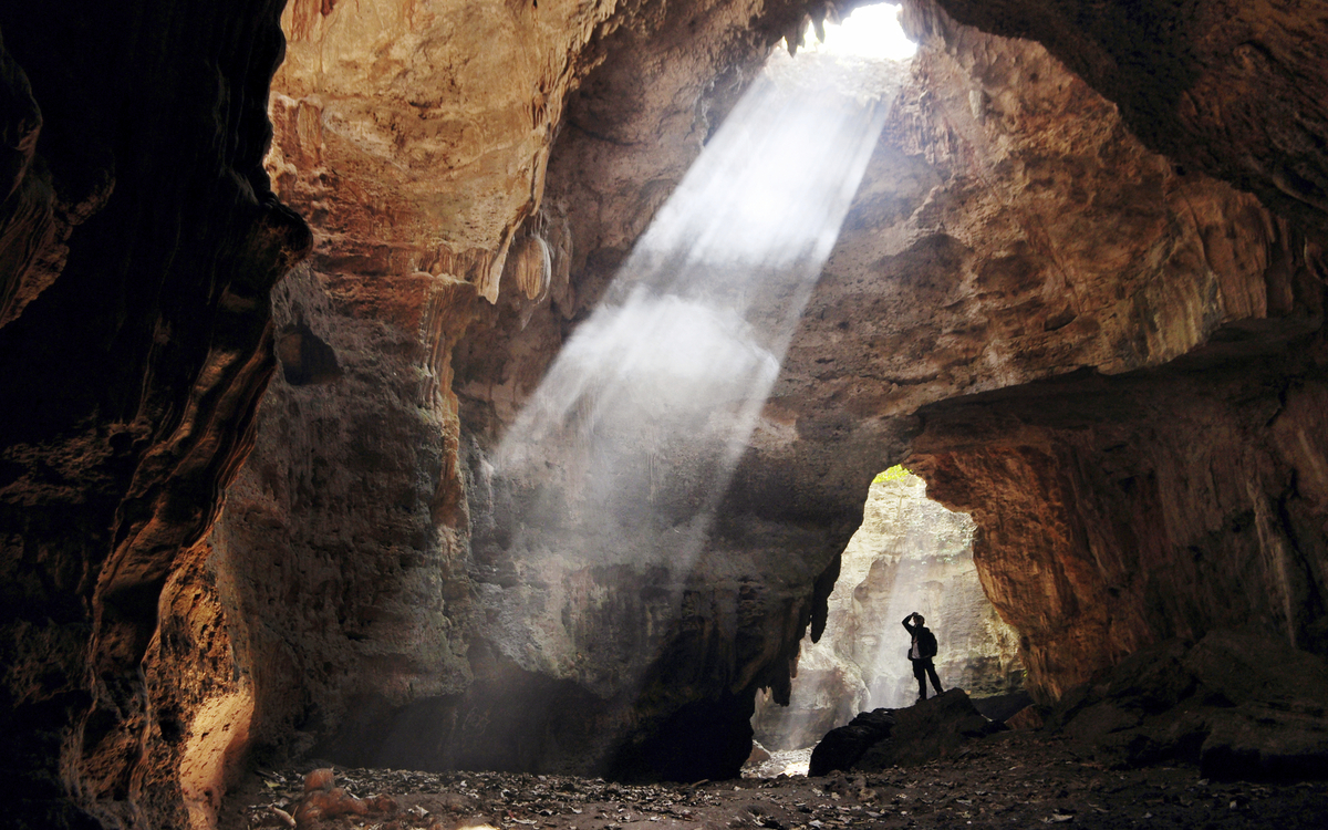 Waitomo, Glühwürmchen Grotte