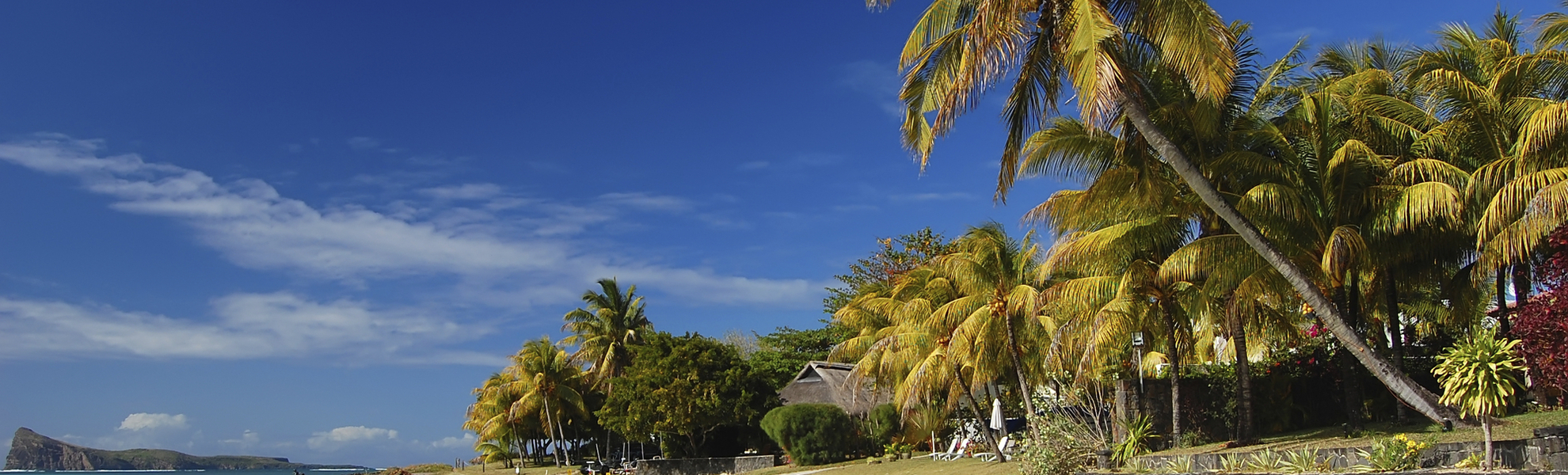Palmenstrand von Mauritius