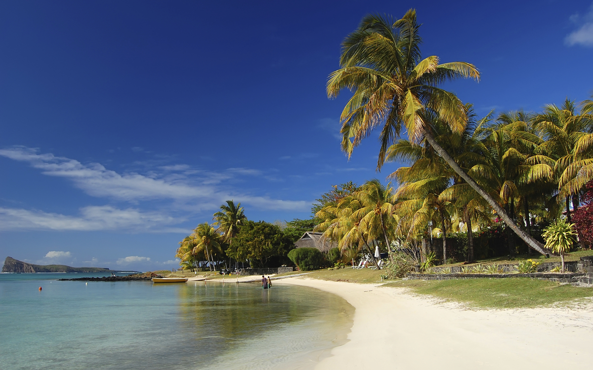 Palmenstrand von Mauritius
