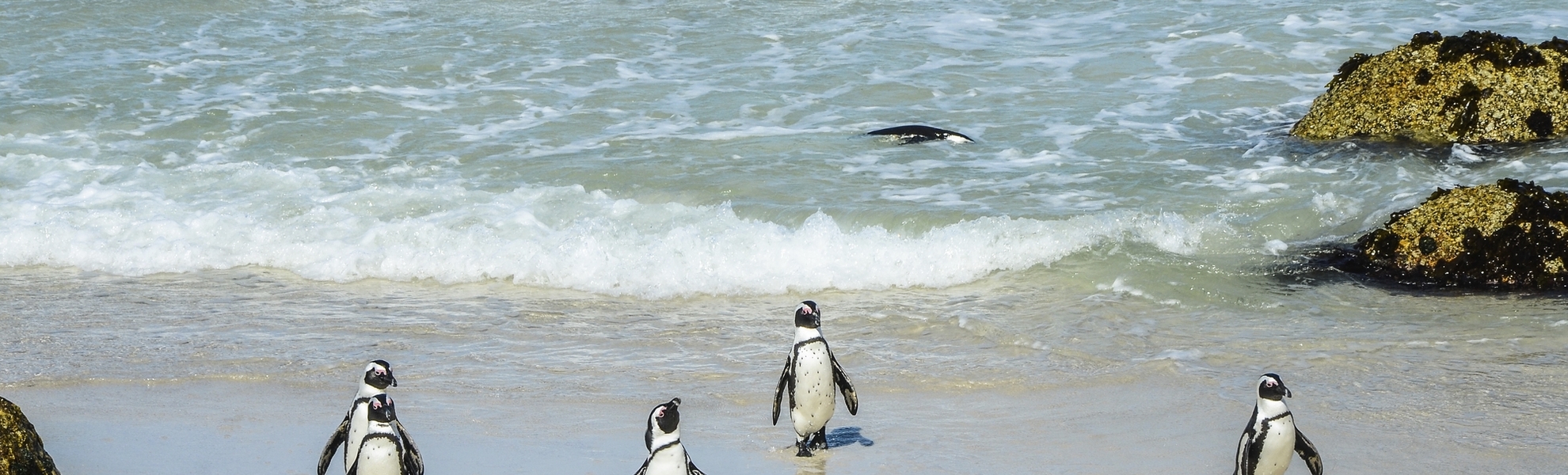 Kap der Guten Hoffnung