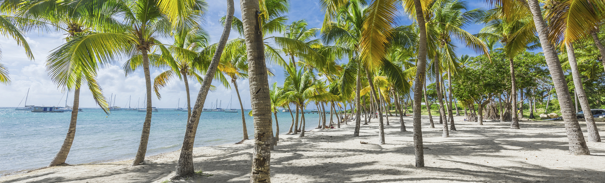 Saint Francois Beach, Karibik