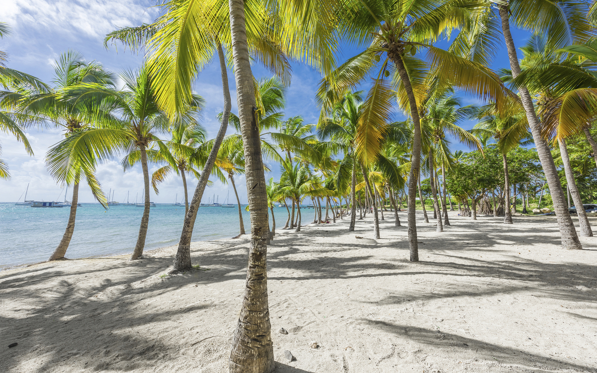 Saint Francois Beach, Karibik