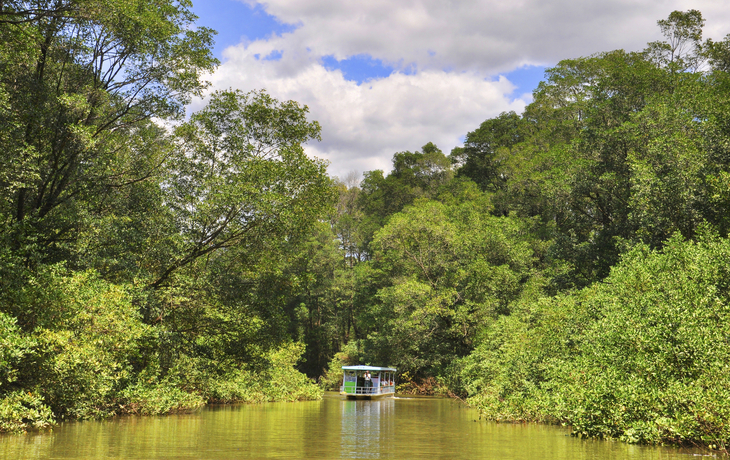 Bootstour durch die Mangroven bei Puntarenas, Costa Rica
