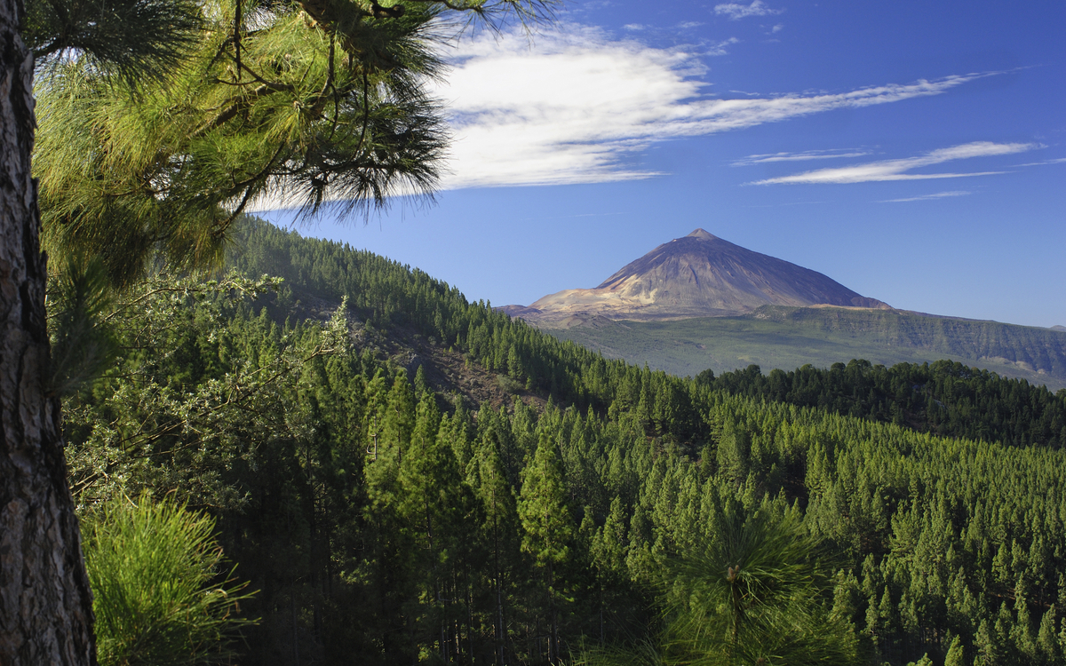 Berg Teide und Stadt Ootava auf Teneriffa, Spanien
