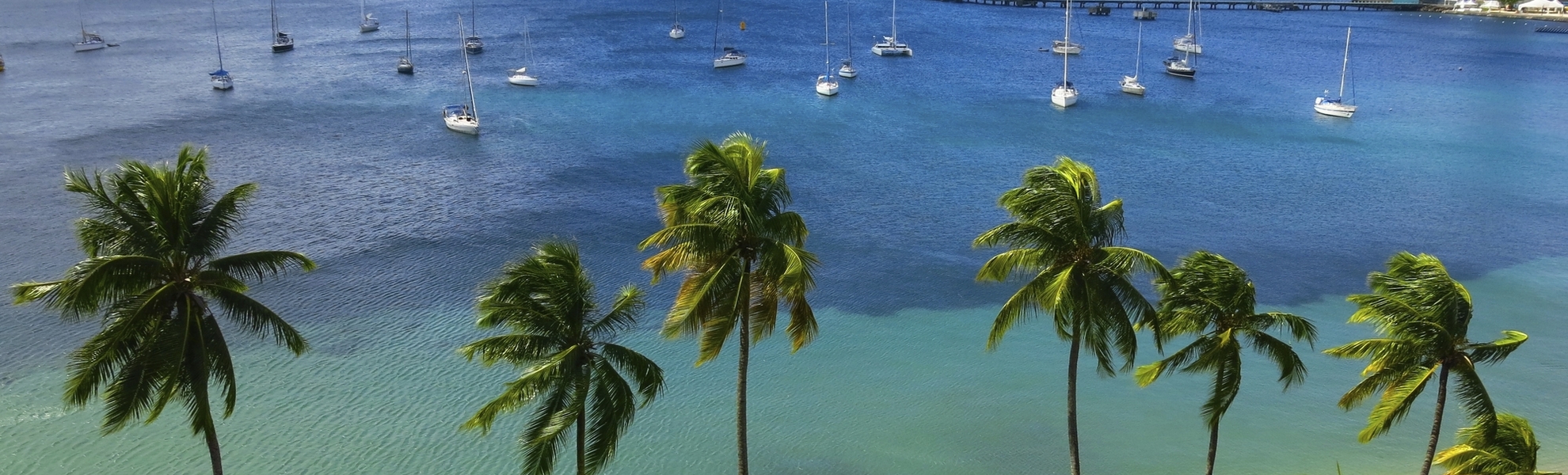 Strand auf Martinique