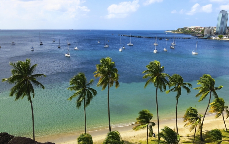 Strand auf Martinique