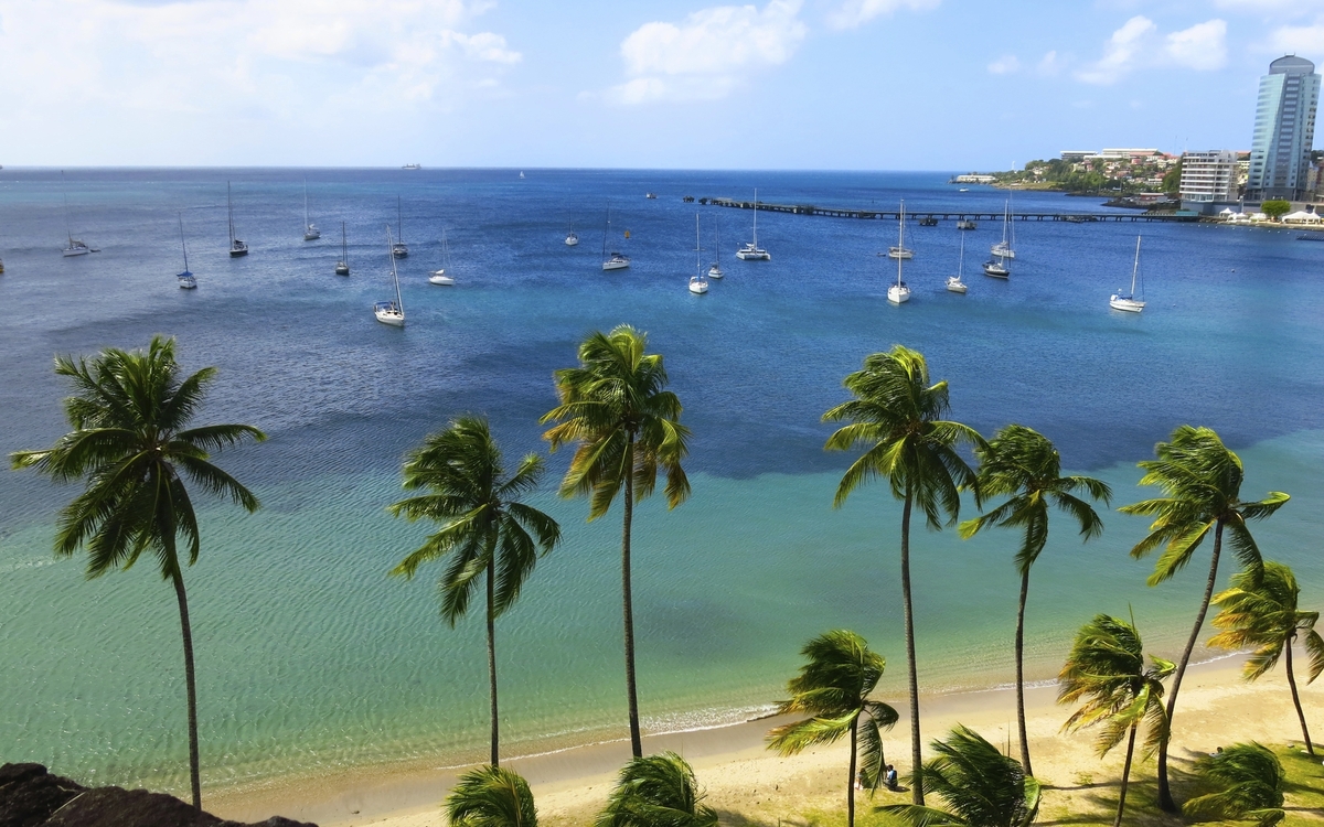 Strand auf Martinique