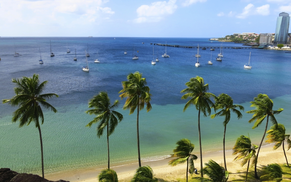 Strand auf Martinique