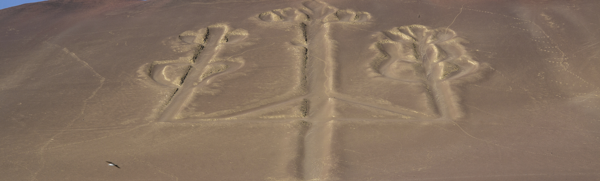 Paracas Nationalpark in Peru