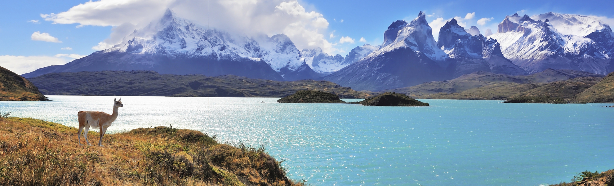 beeindruckende Landschaft des Nationalparks Torres del Paine, Chile