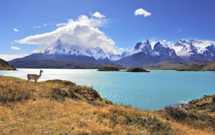 beeindruckende Landschaft des Nationalparks Torres del Paine, Chile