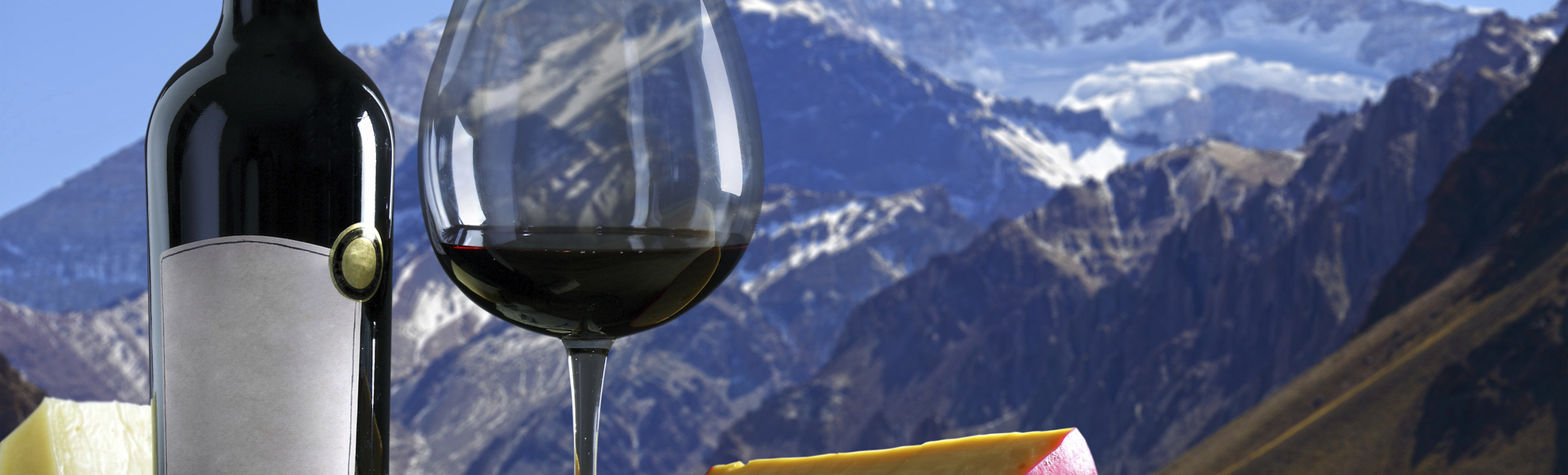 Wein und Käse vor beeindruckendem Gebirge in Argentinien