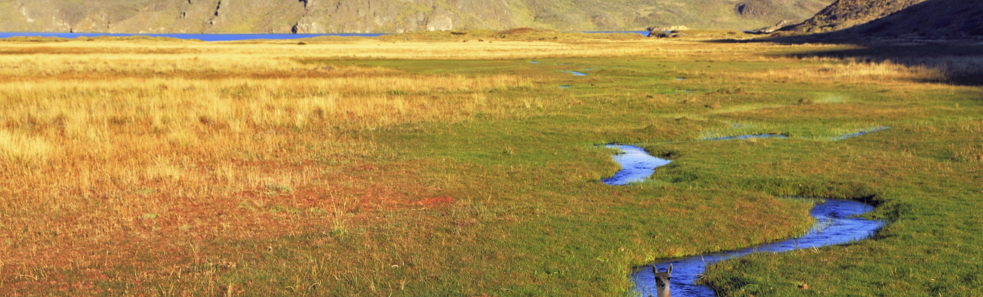 Landschaft Puerto Madryn, Estancia, Argentinien