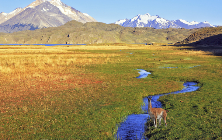 Landschaft Puerto Madryn, Estancia, Argentinien