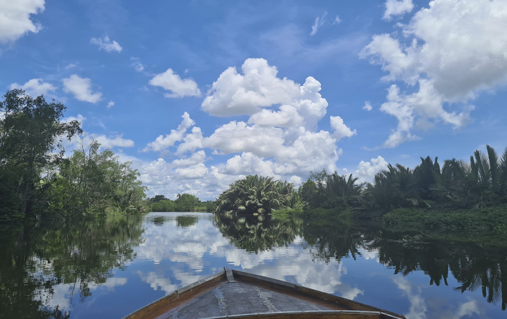 Muara, Mangroven Safari