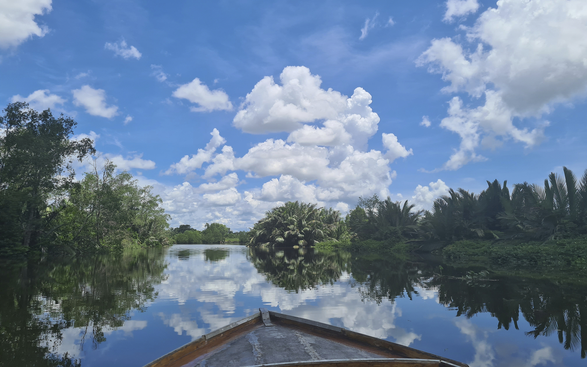 Muara, Mangroven Safari