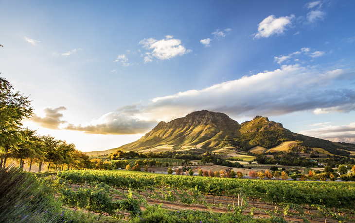 Stellenbosch