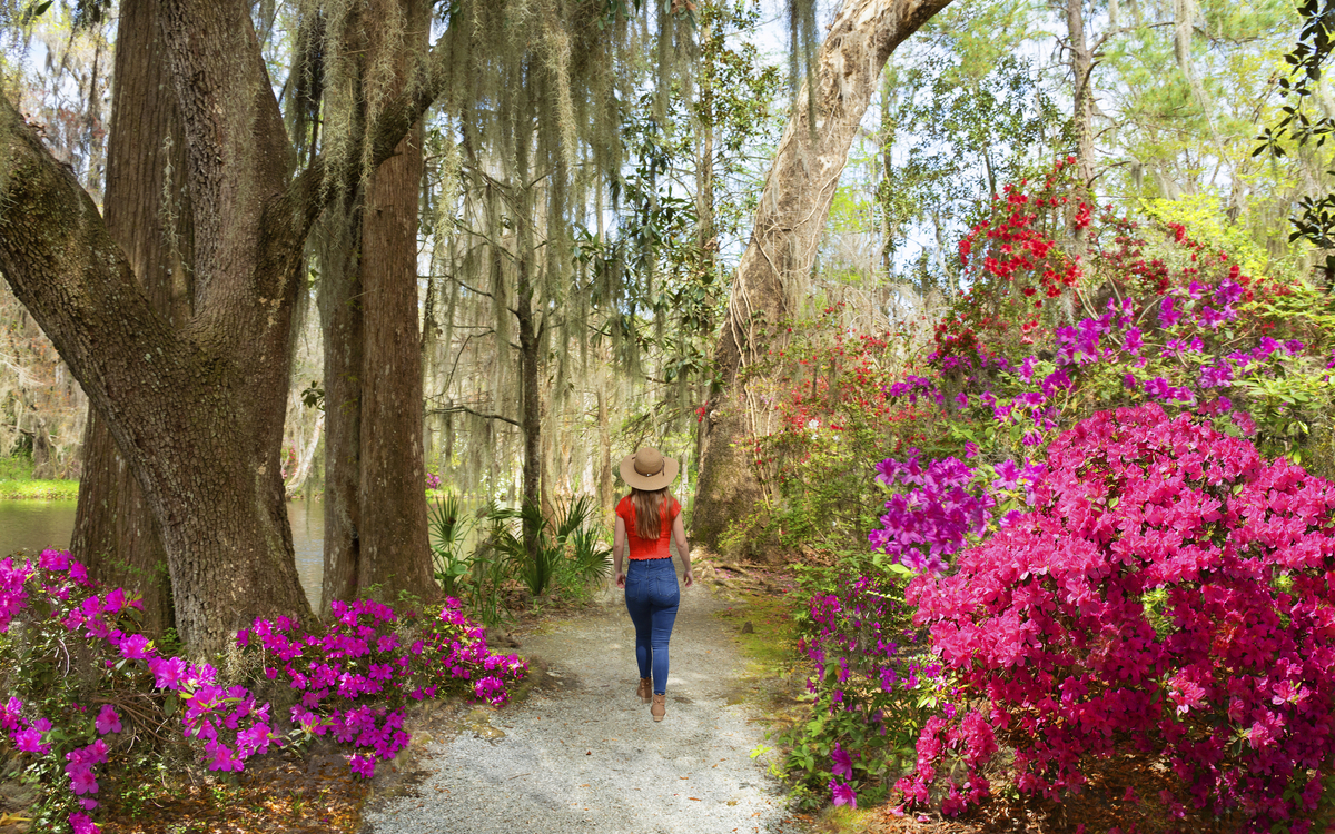 Charleston, Magnolien-Plantage