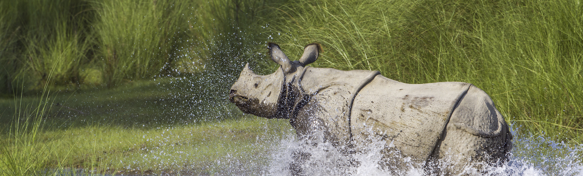Kaziranga Nationalpark