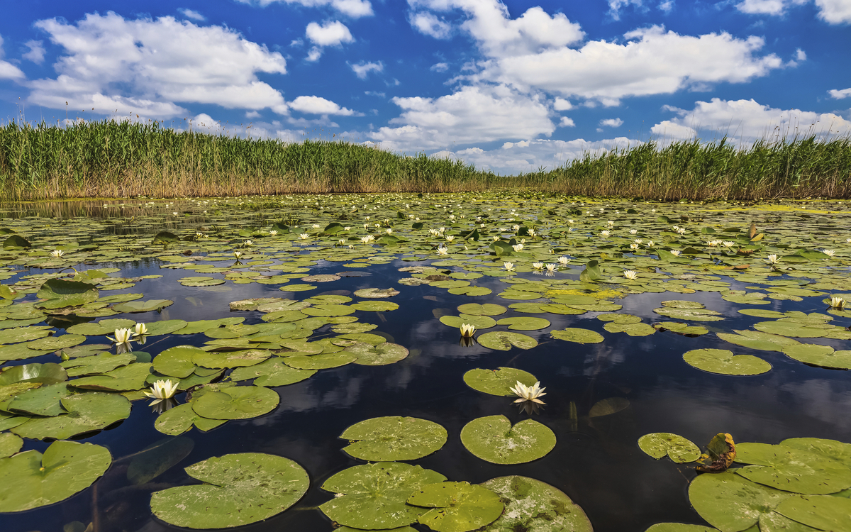Donaudelta in Rumänien