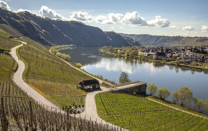 Schoene Landschaft in Piesport, Deutschland