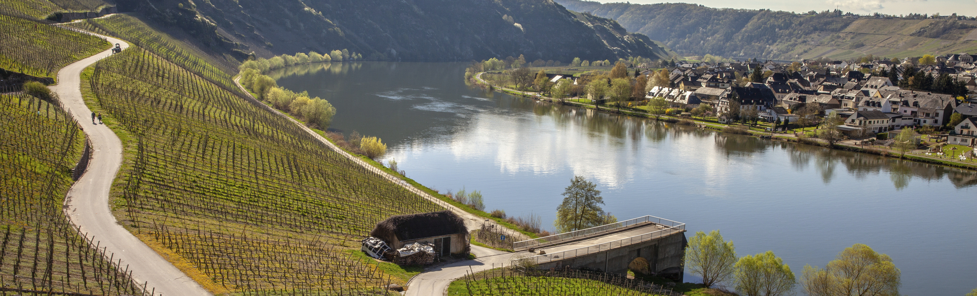 Schoene Landschaft in Piesport, Deutschland