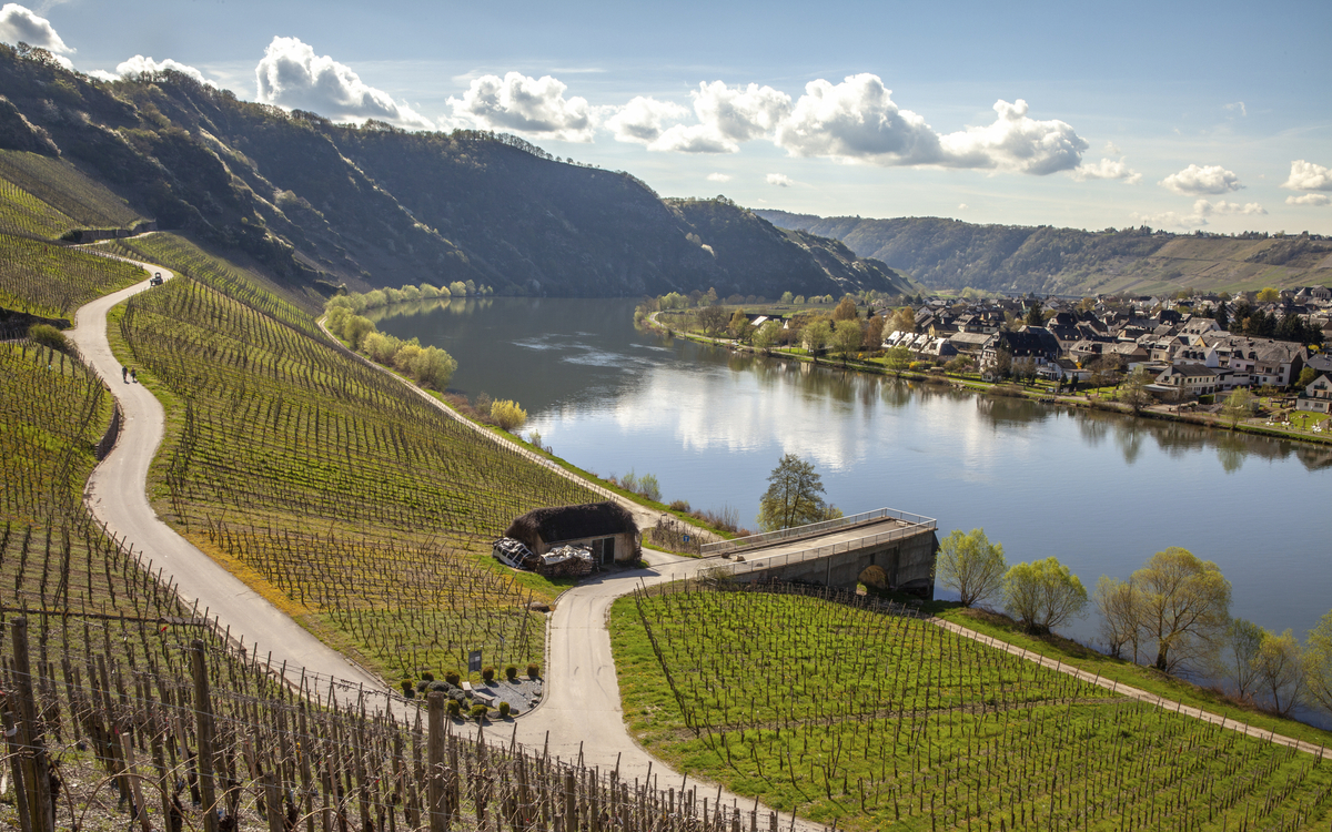 Schoene Landschaft in Piesport, Deutschland