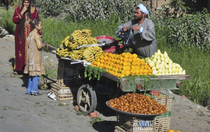 Obstwagen am Straßenrand in Ägypten